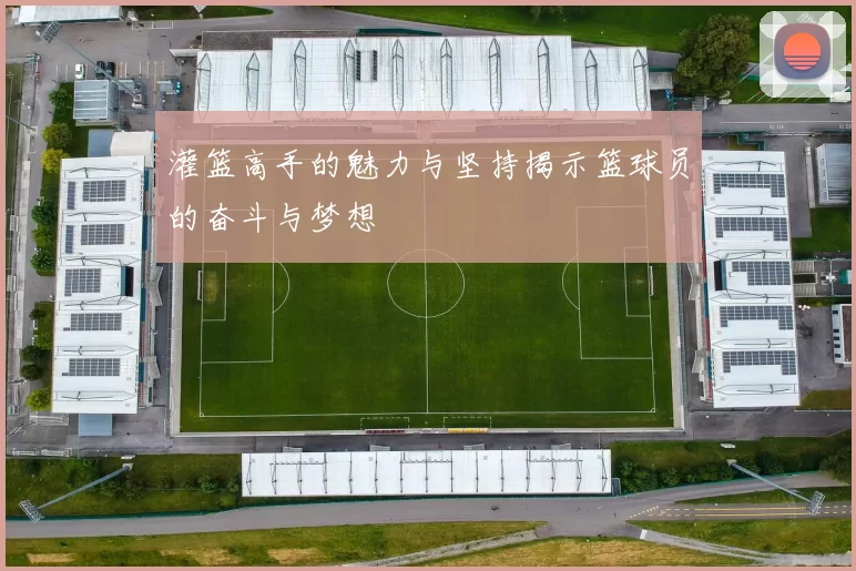 灌篮高手的魅力与坚持揭示篮球员的奋斗与梦想