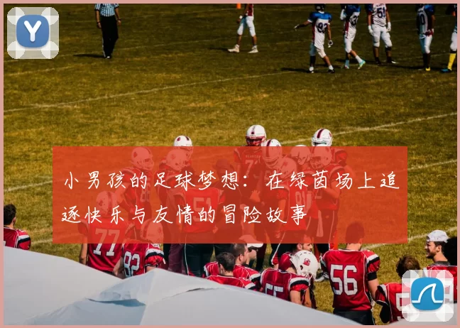 小男孩的足球梦想：在绿茵场上追逐快乐与友情的冒险故事
