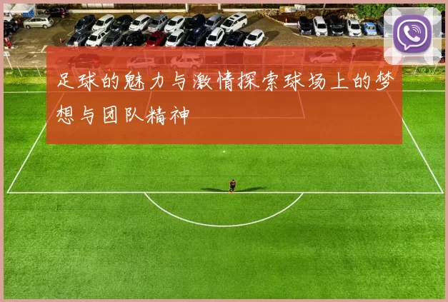 足球的魅力与激情探索球场上的梦想与团队精神