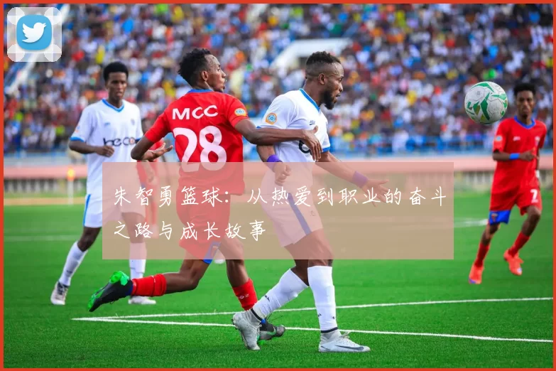 朱智勇篮球：从热爱到职业的奋斗之路与成长故事