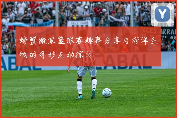 螃蟹搬家篮球赛趣事分享与海洋生物的奇妙互动探讨